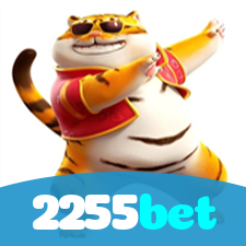 Segurança no 2255bet